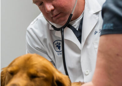 Dogs Examination