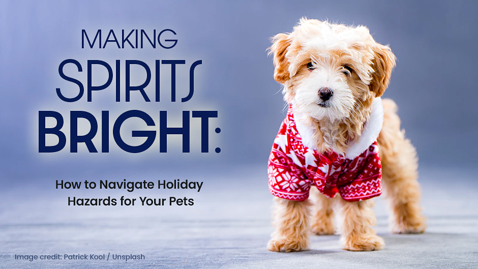 Making Spirits Bright: How to Navigate Holiday Hazards for Your Pets