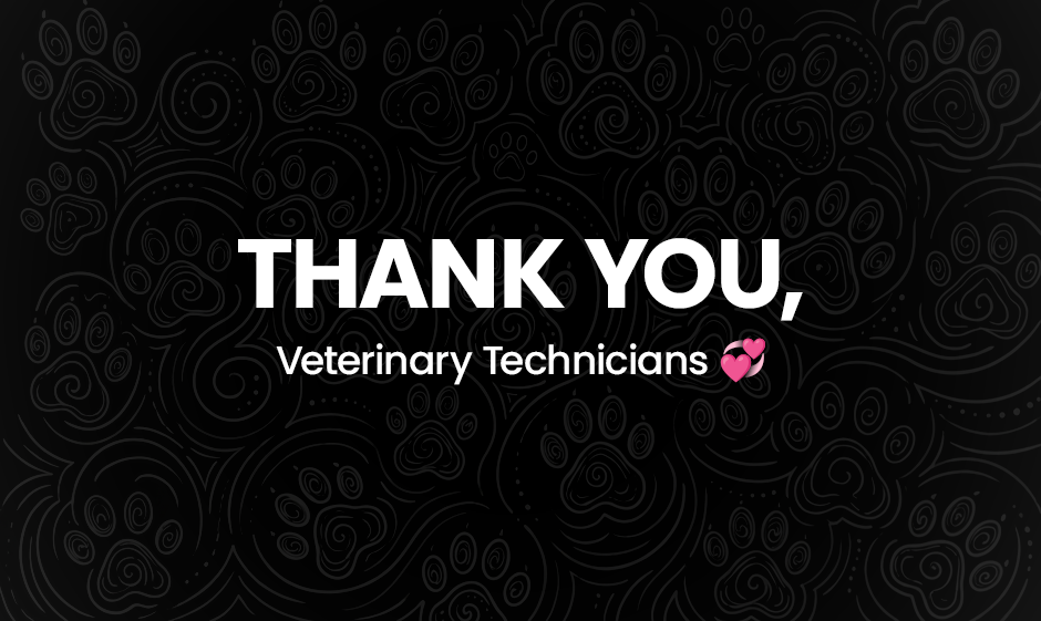 Celebrate veterinary technicians and learn how their skill, compassion, and dedication support pets, families, and veterinary care teams.